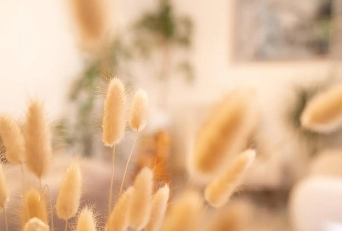 Atelier Leonhardszimmer - Tolle Location In Stuttgarter Innenstadt 0*, Штутгарт